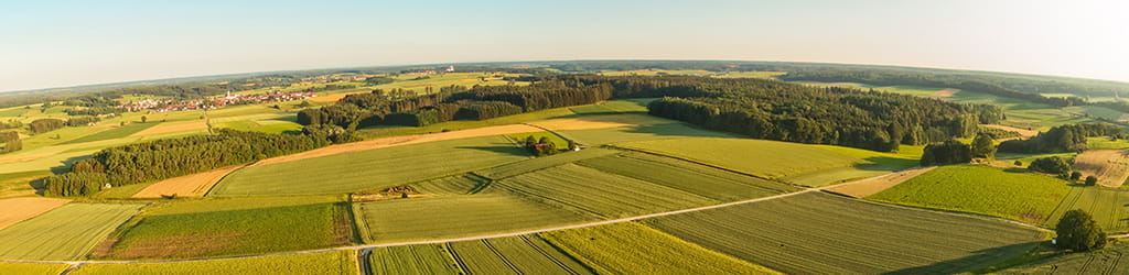 aerial view of grasslands