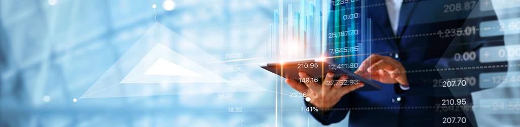 ADV ERP NetSuite
