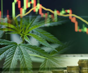 Webinar: How cannabis companies can use ERP systems to scale for success