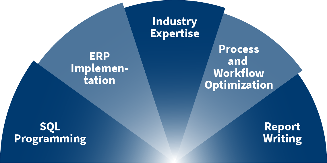 Infographic showing ERP Process details