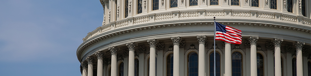 OBTAINING COVID-19 FINANCIAL RELIEF: AN OVERVIEW OF SBA, CARES, AND ALTERNATIVE FINANCING STRATEGIES