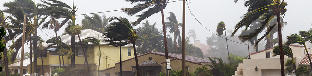 GOVT Hurricane Preparednes