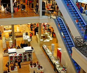 IBP-for-Retail_spotlight_300x250