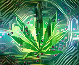 cannabis security cybersecurity privacy