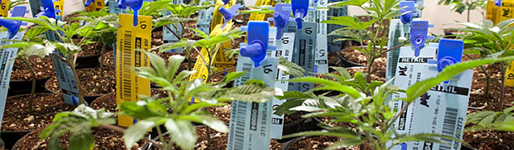 q-and-a-an-inside-look_1024x300
