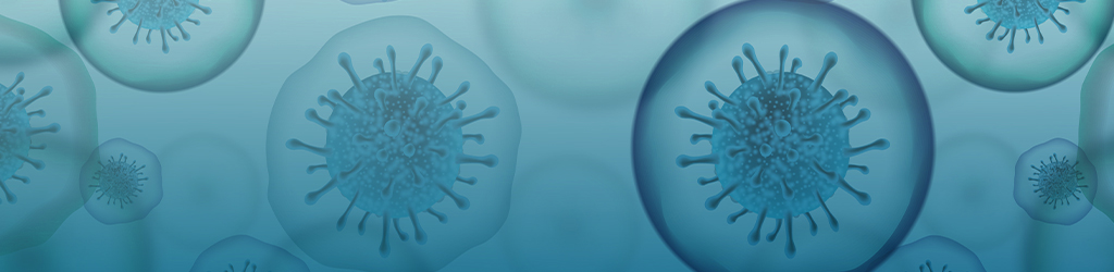 SBA Disaster Loan Assistance