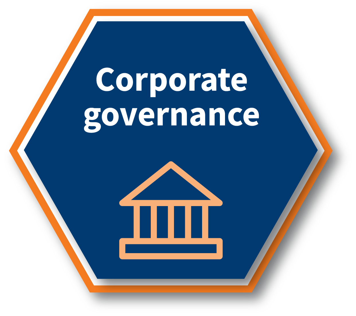 Corporate governance