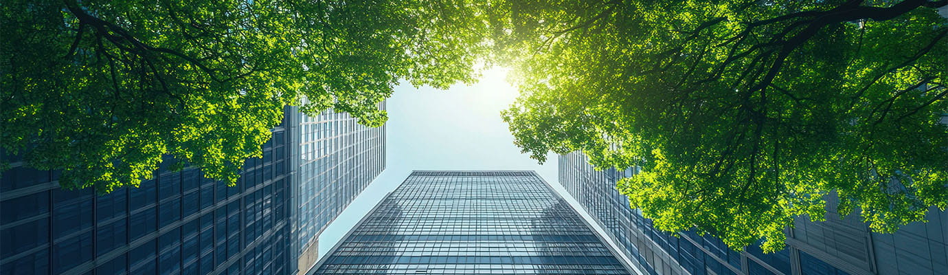 Green trees and lane