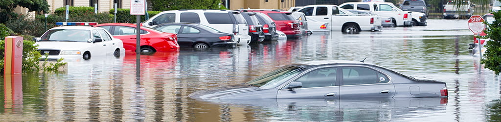 web banner for case study of Louisiana Office of Community Development – Disaster Recovery Unit