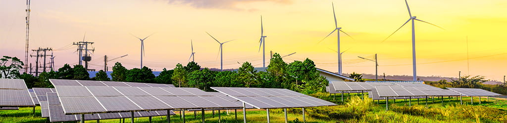 solar panel farm