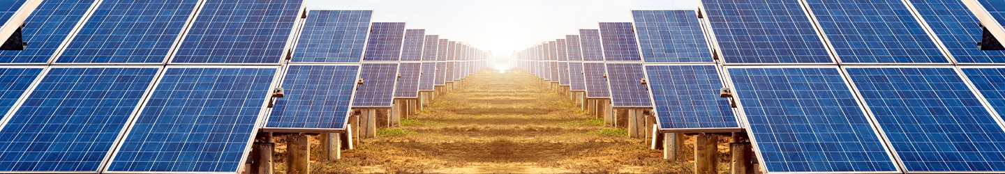 two rows of solar panels