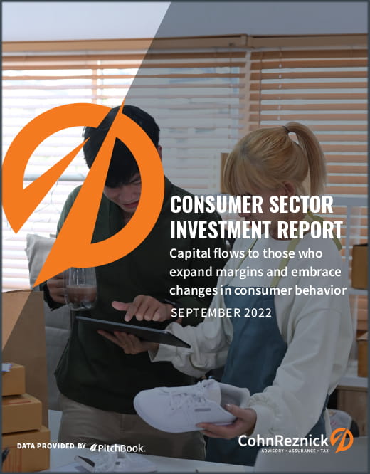 consumer sector investment report thumbnail cover