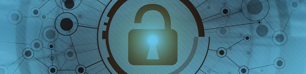 vciso lock cybersecurity privacy