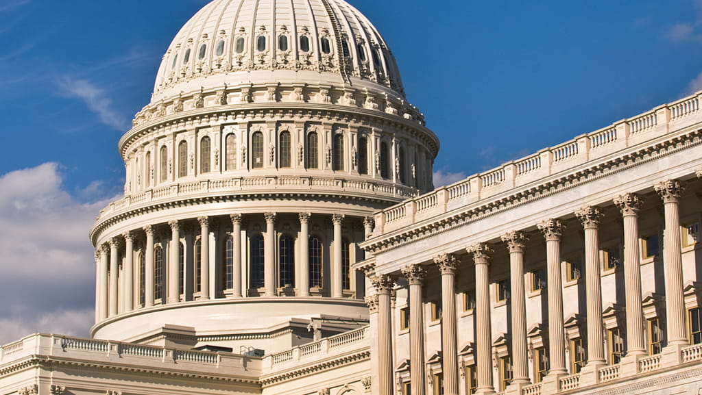 governement and public sector