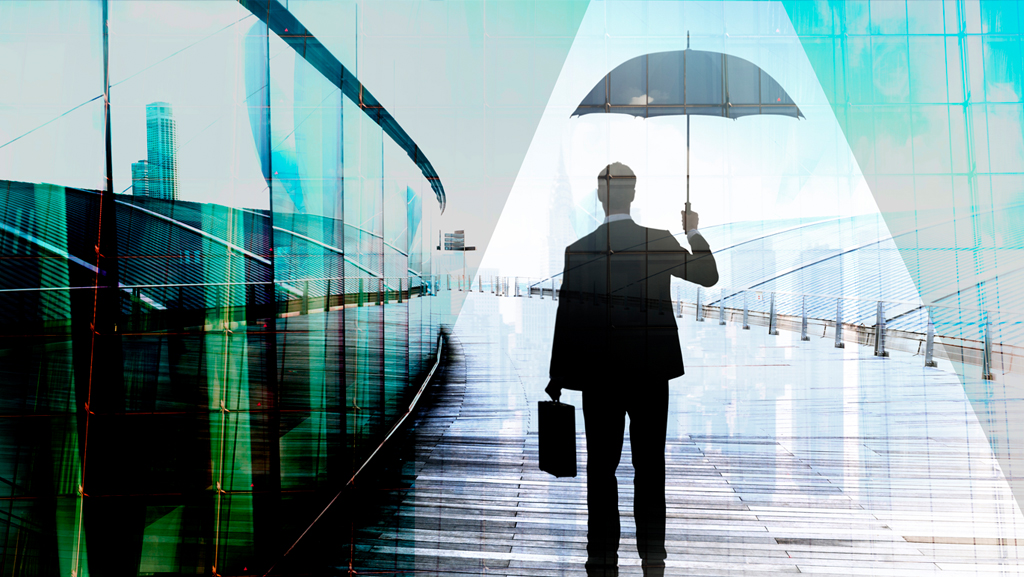 Enterprise Financial & IT Project Risk Advisory Solutions Firm