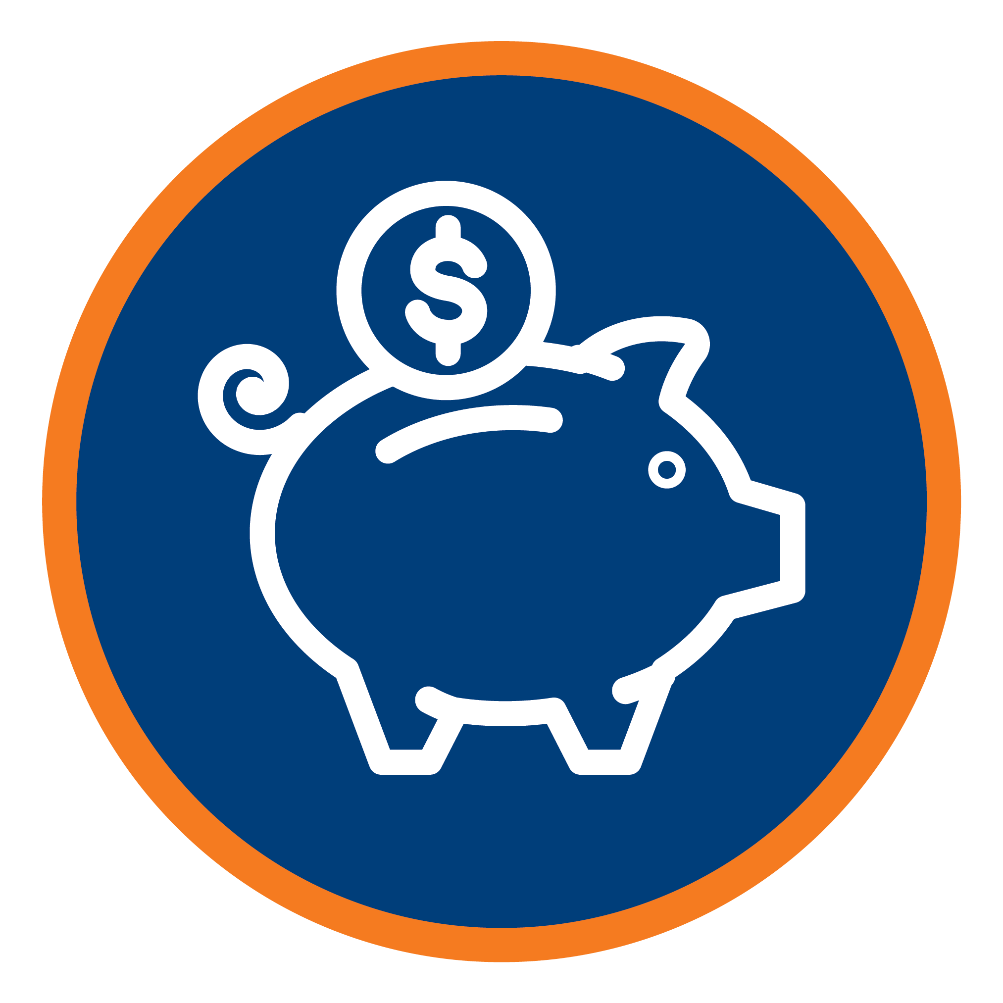 SAFEGUARD PUBLIC FUNDS mso