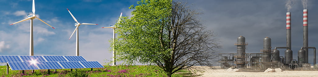 tree, solar panels, windmills, nuclear power plant