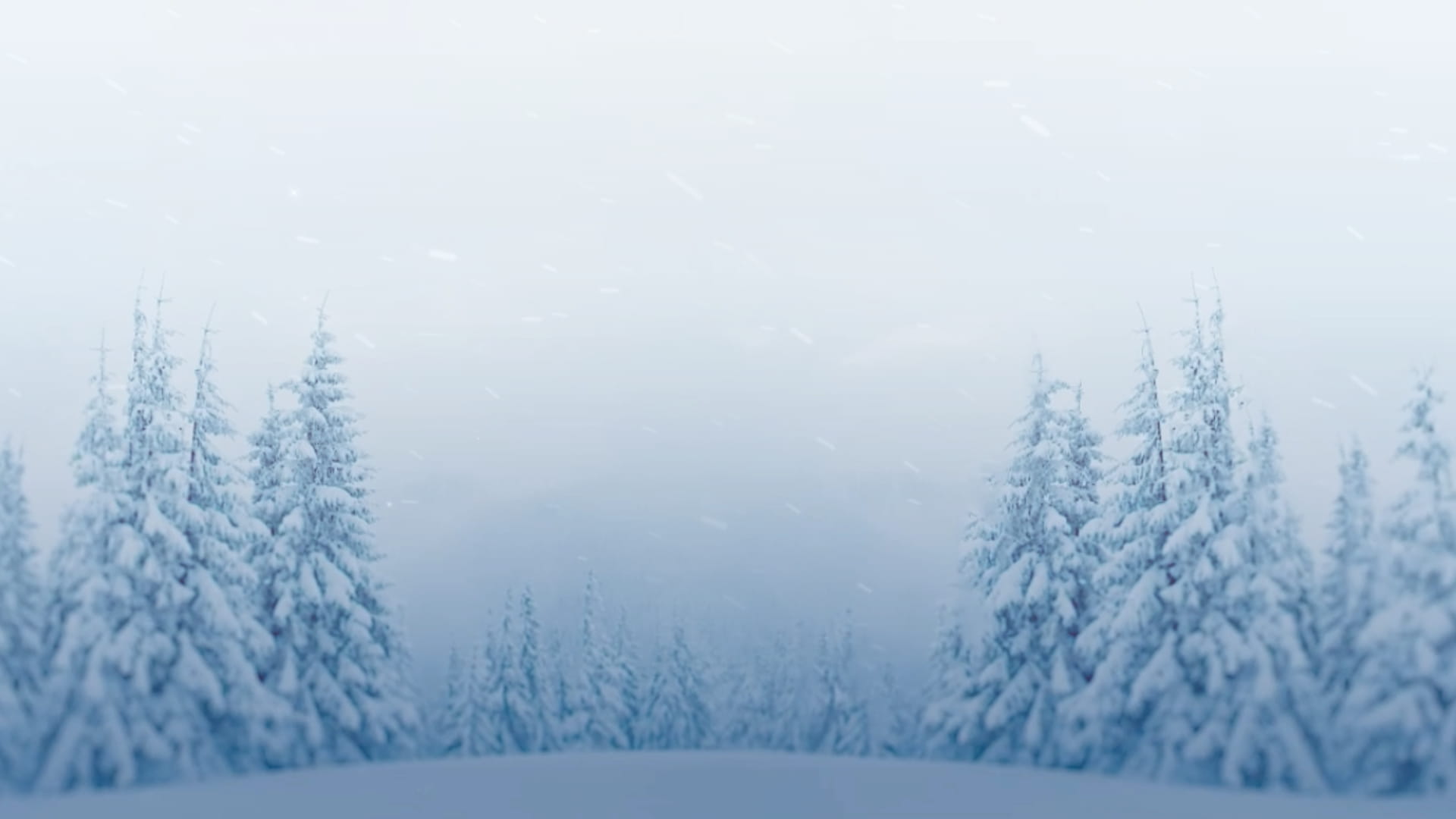 tree covered with snow