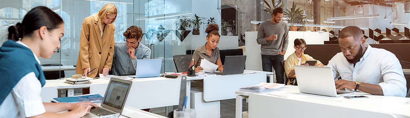 an open office working together on computers