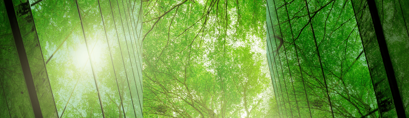green trees in the middle of a glass building