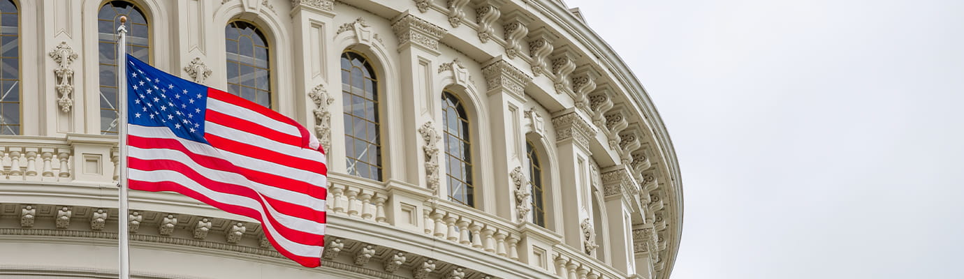 American flag in front of a government building