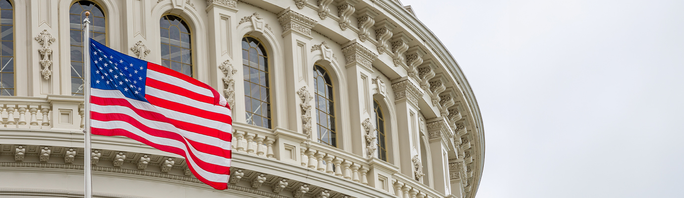 American flag in front of a government building