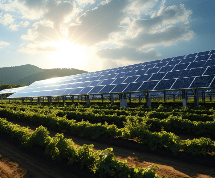 solar panel in a field