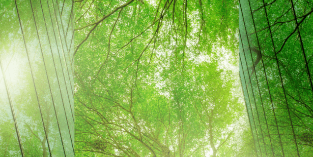 a tree in-between two buildings sustainability-events-hero-banner